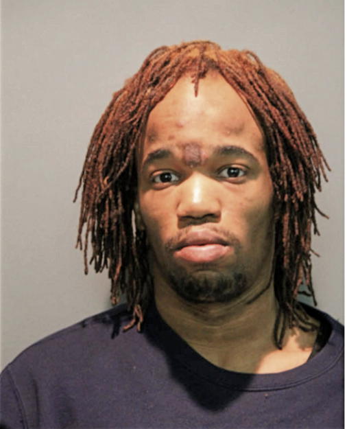 DERRICK J WHITE-HOWSE, Cook County, Illinois