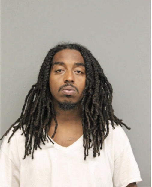 MICHAEL A WILLIAMS, Cook County, Illinois