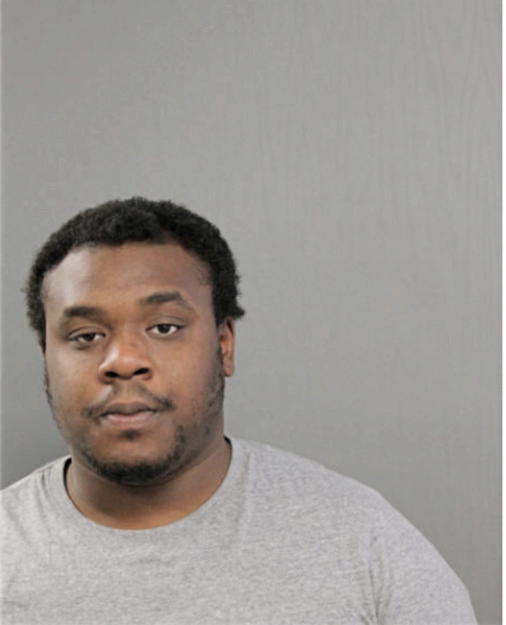 BABATUNDE A ADEOYE, Cook County, Illinois