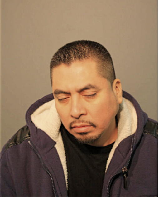 LUIS ALVAREZ-CASTILLO, Cook County, Illinois