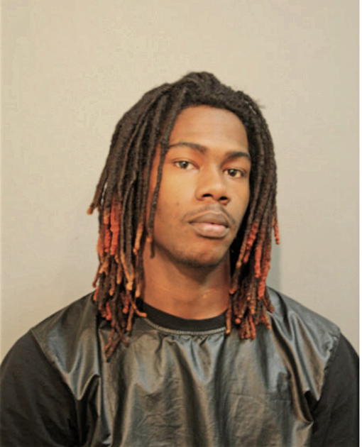 ARON T ANDERSON, Cook County, Illinois