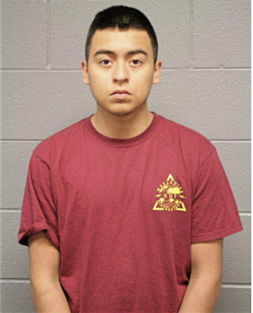 BRANDON J ARROYO, Cook County, Illinois