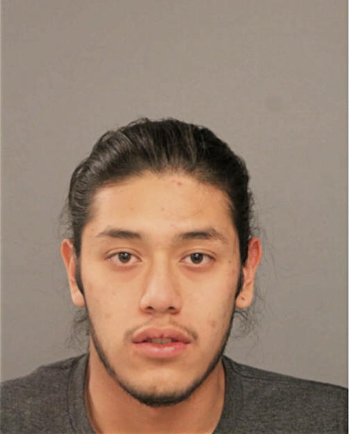 GUADALUPE J AVELAR, Cook County, Illinois