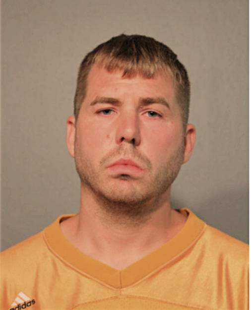 ANDREW P BOHLEN, Cook County, Illinois