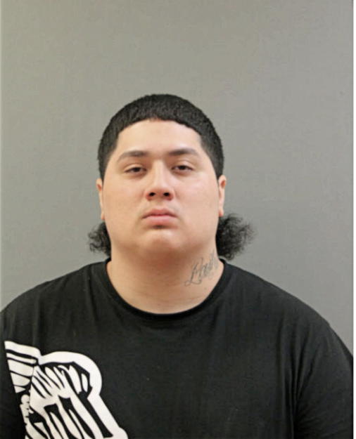 JOSE D CASTILLO, Cook County, Illinois