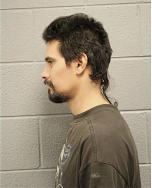 JOSE A DELATORRE, Cook County, Illinois