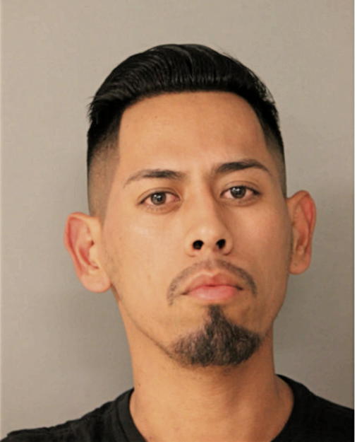 CARLOS DELGADO, Cook County, Illinois