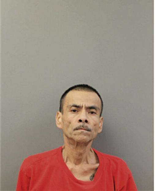JOSE E FLORES, Cook County, Illinois