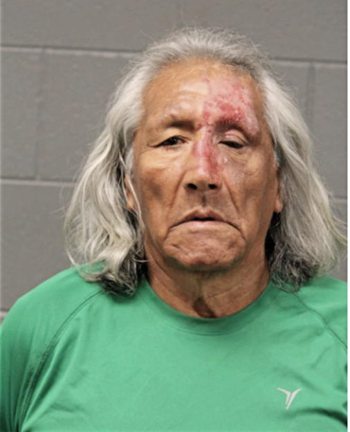 CARMEN A HERNANDEZ, Cook County, Illinois