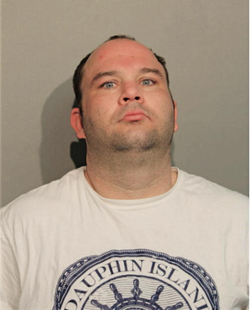 JOHN M HIGGASON, Cook County, Illinois