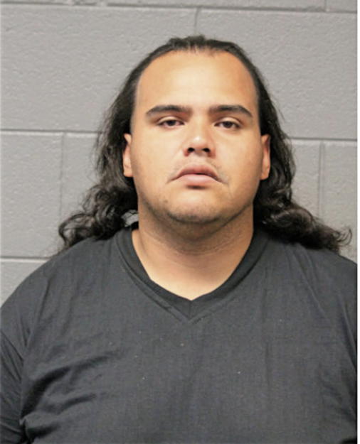 JOSE N IBARRONDO, Cook County, Illinois