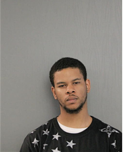 BRYANT P JOHNSON, Cook County, Illinois