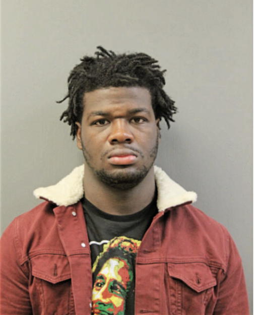 TERREL D JOHNSON, Cook County, Illinois