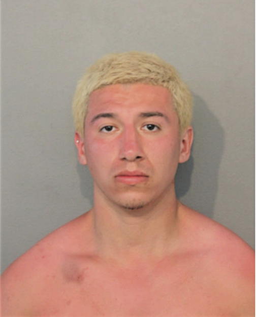 ROBERTO DURAN JR, Cook County, Illinois