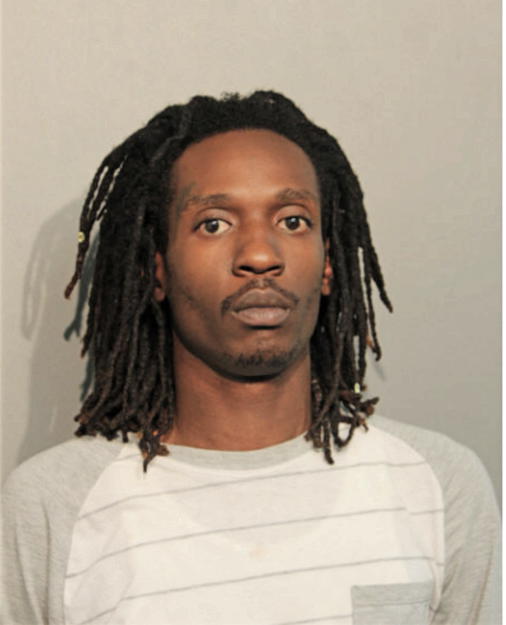 MOISE T KASONGO, Cook County, Illinois