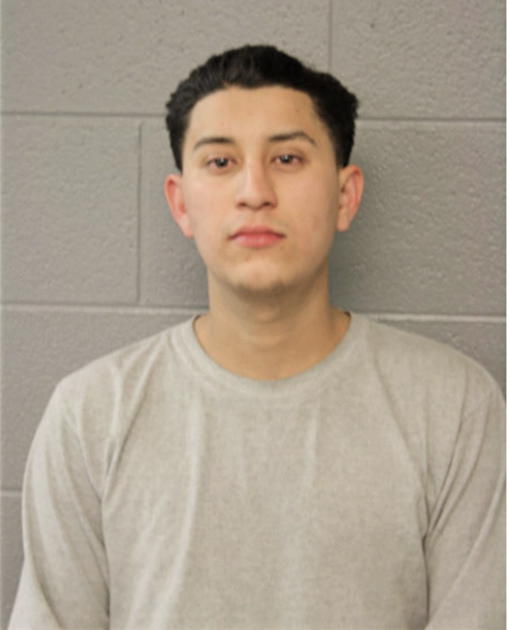 ROBERTO A LANDA-SALAMANCA, Cook County, Illinois