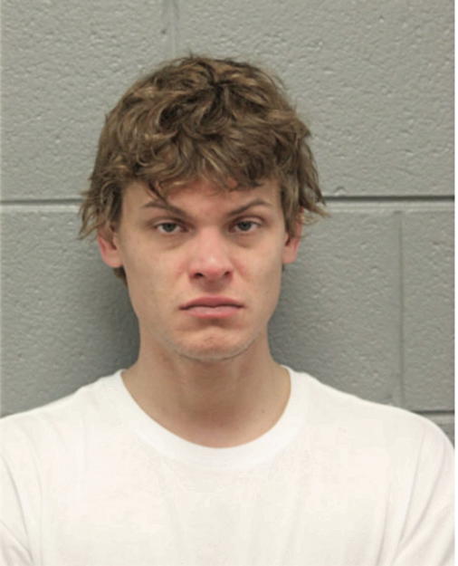 NATHAN E LIVINGSTON, Cook County, Illinois