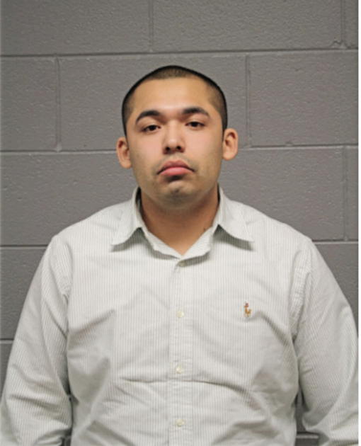 BRYANT MONTOYA, Cook County, Illinois