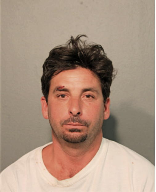 NICHOLAS J PAVONE, Cook County, Illinois