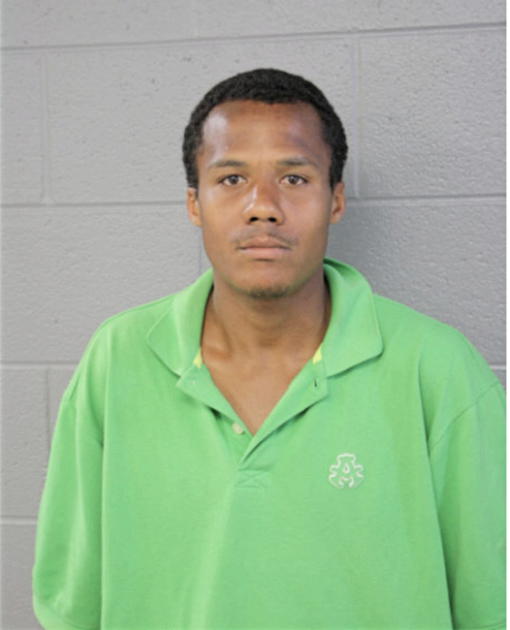 MATTHEW L PINKINS, Cook County, Illinois