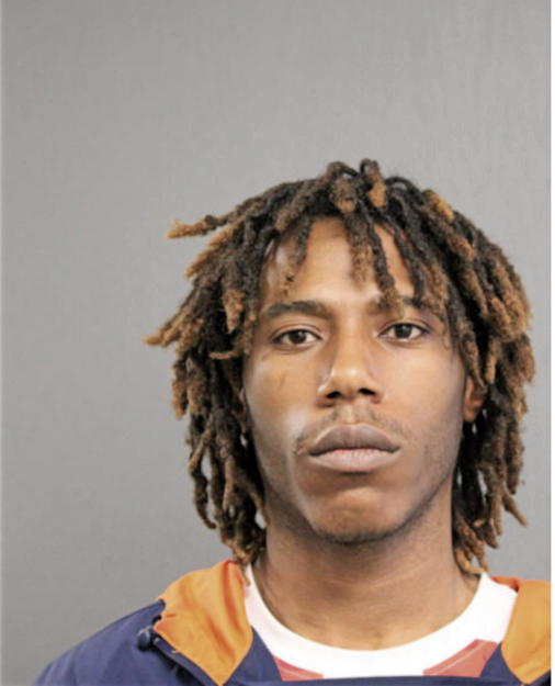 SHAWN N ROBINSON, Cook County, Illinois