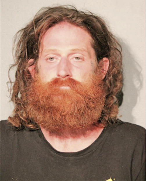 MICHAEL L RUPE, Cook County, Illinois