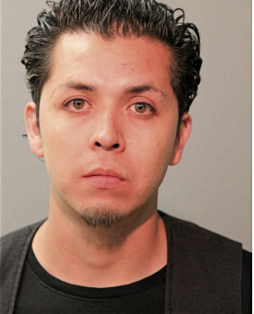 FABRIZIO SALGADO, Cook County, Illinois