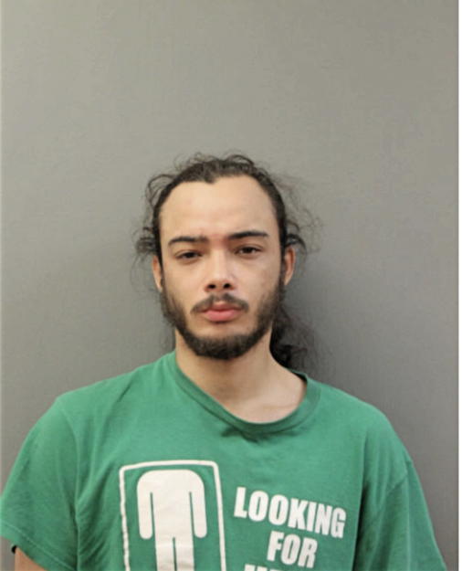 NATHAN I SIERRA, Cook County, Illinois