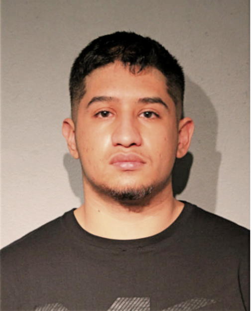 ALEXIS VERDUZCO-VILLAFANA, Cook County, Illinois