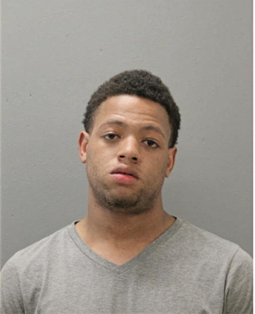 DAMEIAN T ANDERSON, Cook County, Illinois