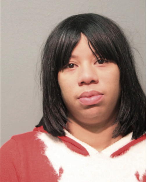 RACHELLE N ELLIS, Cook County, Illinois