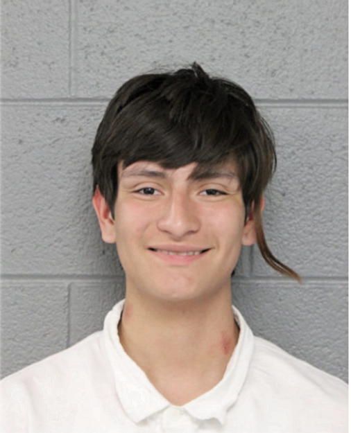 MIGUEL ESTRADA, Cook County, Illinois
