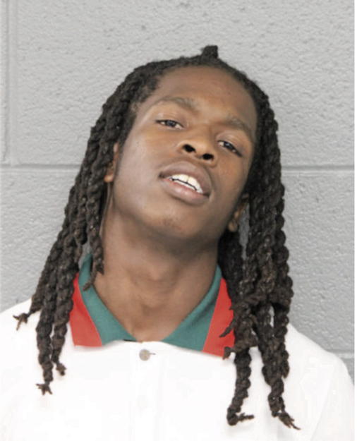 GAMARI M FERGUSON, Cook County, Illinois