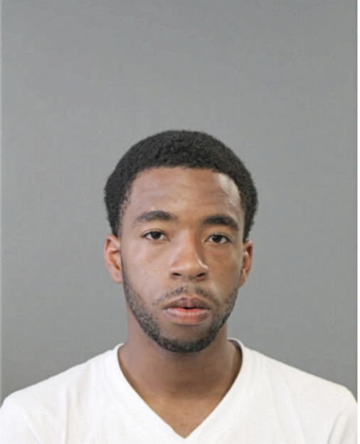 BRUCE B GERMAN, Cook County, Illinois