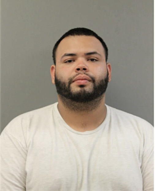 ALEXANDER GRULLON, Cook County, Illinois