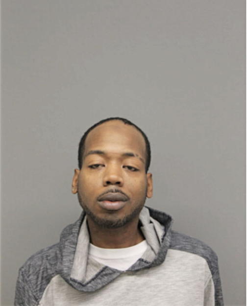 BRANDON L JOHNSON, Cook County, Illinois