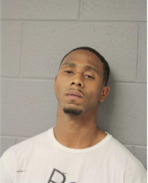 ERICK R LOTT, Cook County, Illinois