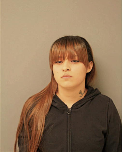JAMEIKA M MACNEICE, Cook County, Illinois