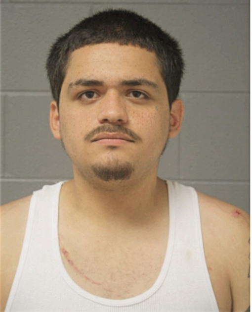 CARLOS MONTANEZ, Cook County, Illinois