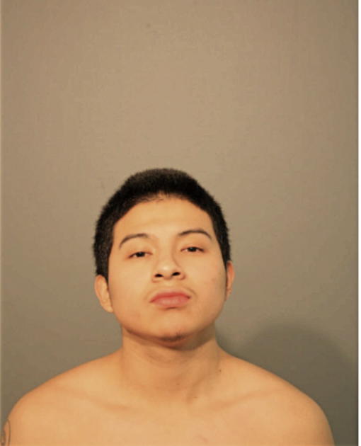 MARIO ORTEGA, Cook County, Illinois
