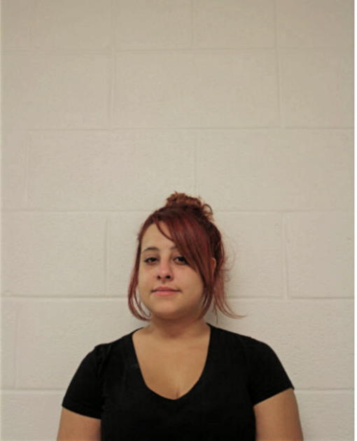 EMY L REYES, Cook County, Illinois