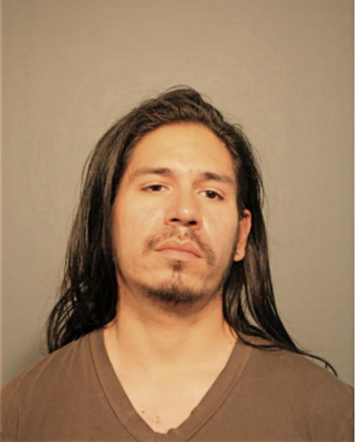PAUL F RODRIGUEZ, Cook County, Illinois