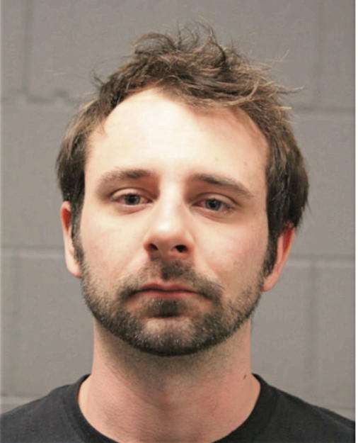 JOHN P ROESER, Cook County, Illinois
