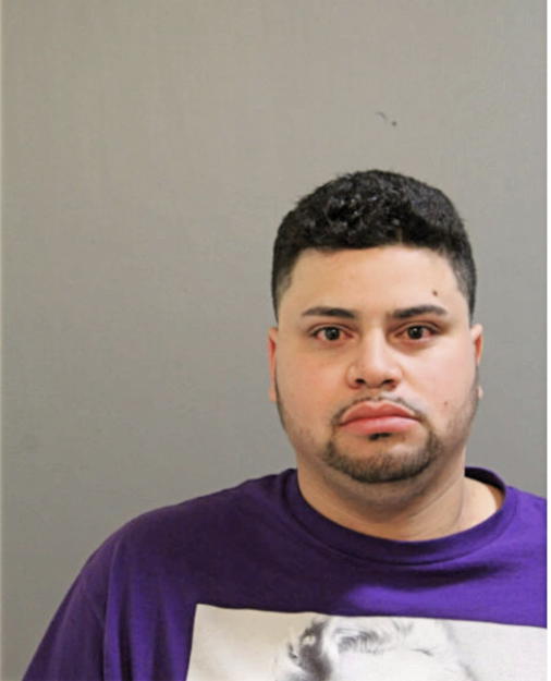 JUAN C ROMAN, Cook County, Illinois