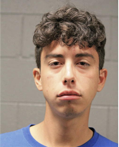 JORGE E RUIZ, Cook County, Illinois