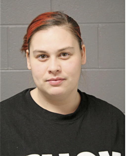 MEGAN C STEPHENSON, Cook County, Illinois