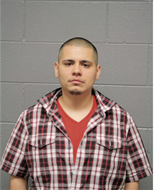 MIGUEL A TORRES, Cook County, Illinois