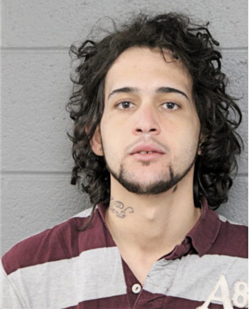 RAUL A VEGA, Cook County, Illinois