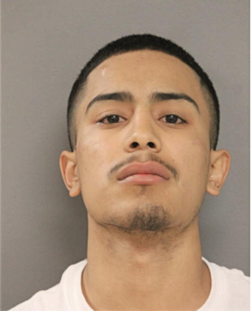 CARLOS G YANEZ, Cook County, Illinois