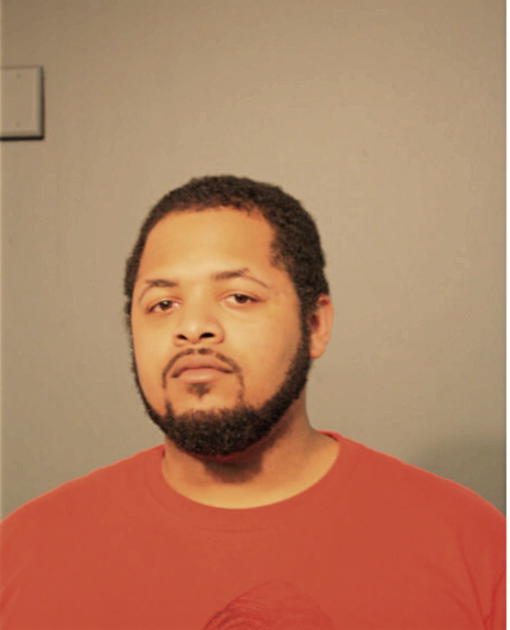 BRANDON T ANDERSON, Cook County, Illinois